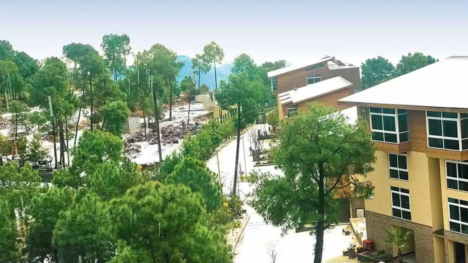 Tata-Myst-Villas-and-Studio-In-Kasauli-Himachal-Pradesh-lush-greenery